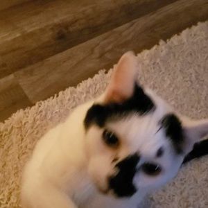 Meet your Posher, Charlene